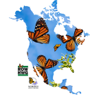 2025 North American Monarch Summit - logo